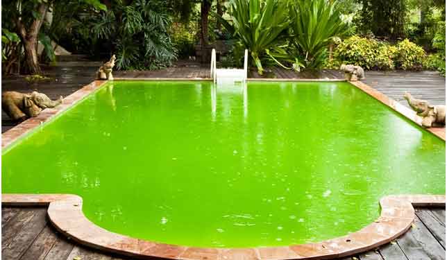 ضرورت تصفیه آب استخر 2 ضرورت تصفیه آب استخر